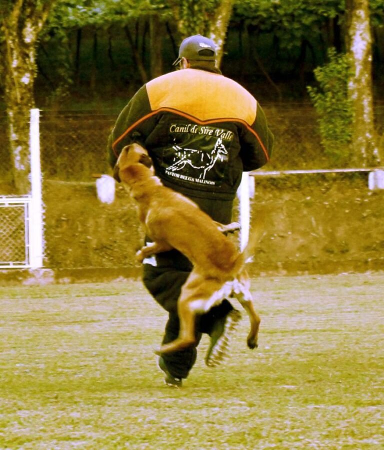 PHOTO-2024-02-05-12-04-07 3